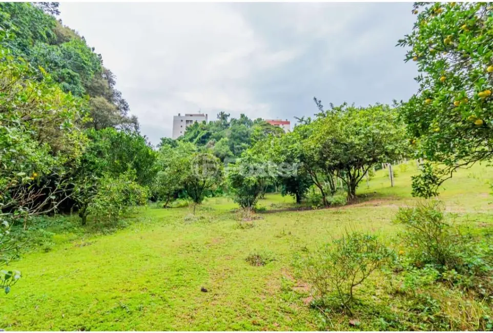 Foto 5 de Terreno / Lote à venda em Nonoai, Porto Alegre - RS