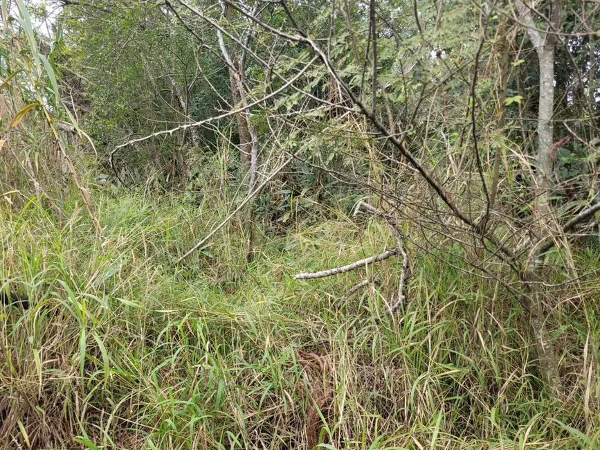 Foto 4 de Terreno / Lote à venda, 3350m2 em Hípica, Porto Alegre - RS