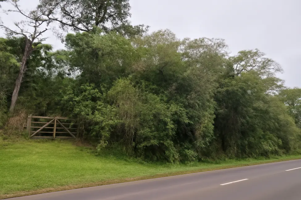Foto 7 de Terreno / Lote à venda, 3350m2 em Hípica, Porto Alegre - RS