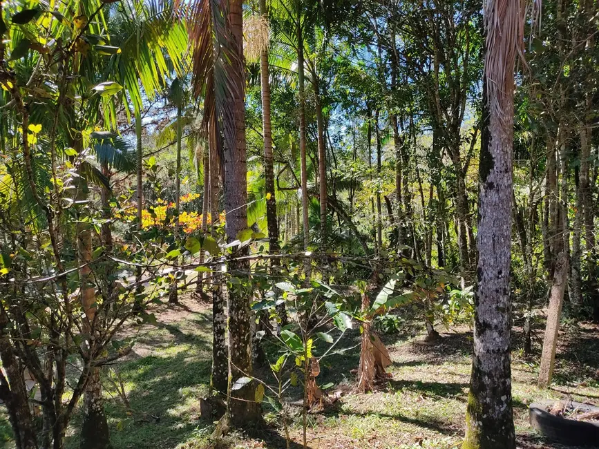 Foto 15 de Terreno / Lote à venda em Itapoa - SC