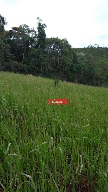 Sítio / Rancho com 3 quartos à venda, 3100m2 em Mairipora - SP - imagem 8 Foto 8 de Sítio / Rancho com 3 quartos à venda, 3100m2 em Mairipora - SP