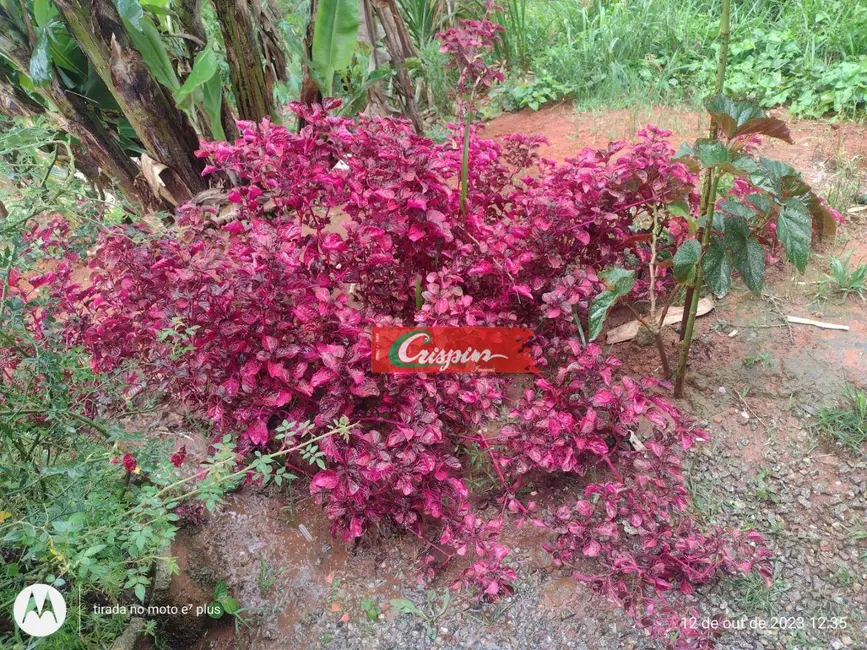 Casa com 2 quartos à venda, 829m2 em Mairipora - SP - imagem 9 Foto 9 de Casa com 2 quartos à venda, 829m2 em Mairipora - SP