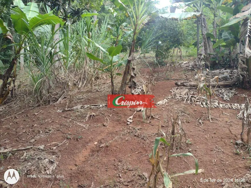 Chácara com 3 quartos à venda, 7000m2 em Santa Isabel - SP - imagem 7 Foto 7 de Chácara com 3 quartos à venda, 7000m2 em Santa Isabel - SP