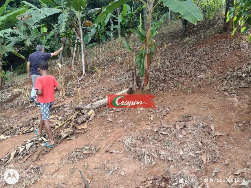 Chácara com 3 quartos à venda, 7000m2 em Santa Isabel - SP - imagem 3 Foto 3 de Chácara com 3 quartos à venda, 7000m2 em Santa Isabel - SP