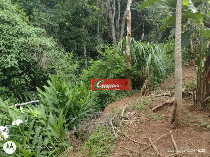 Chácara com 3 quartos à venda, 7000m2 em Santa Isabel - SP - imagem 5 Foto 5 de Chácara com 3 quartos à venda, 7000m2 em Santa Isabel - SP