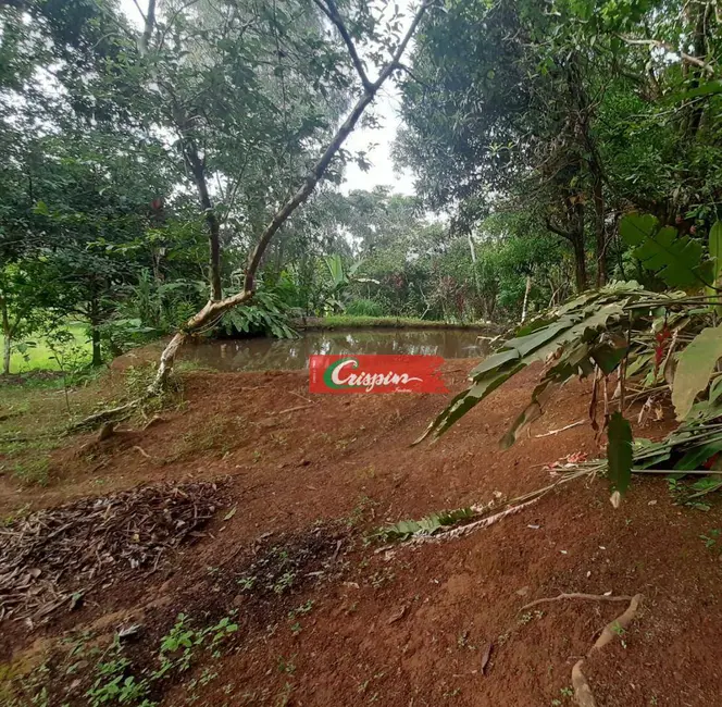 Fazenda / Haras à venda, 816000m2 em Rio Novo - MG - imagem 7 Foto 7 de Fazenda / Haras à venda, 816000m2 em Rio Novo - MG