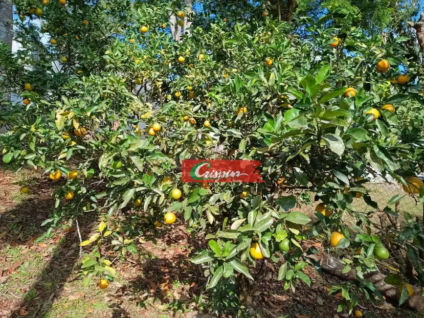 Foto 2 de Chácara com 3 quartos à venda, 2000m2 em Jardim Guarau, São Paulo - SP
