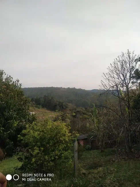 Chácara com 4 quartos à venda, 1600m2 em Mairipora - SP - imagem 4 Foto 4 de Chácara com 4 quartos à venda, 1600m2 em Mairipora - SP