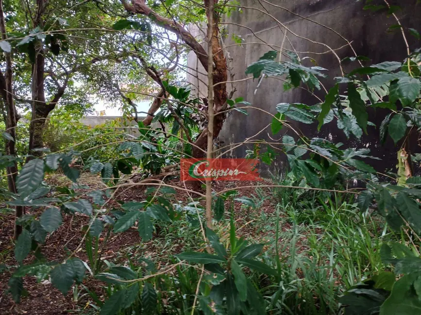 Foto 4 de Casa com 3 quartos à venda, 470m2 em Vila Harmonia, Guarulhos - SP