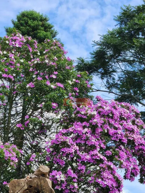Chácara à venda, 79m2 em Nazare Paulista - SP - imagem 2 Foto 2 de Chácara à venda, 79m2 em Nazare Paulista - SP