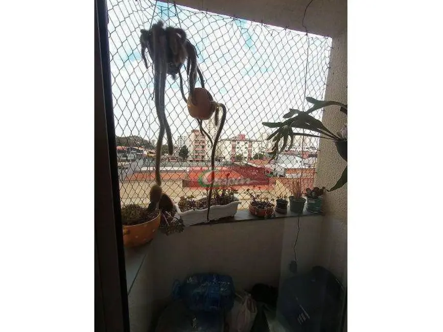 Apartamento com 2 quartos à venda, 57m2 em Vila Paulista, Guarulhos - SP - imagem 4 Foto 4 de Apartamento com 2 quartos à venda, 57m2 em Vila Paulista, Guarulhos - SP