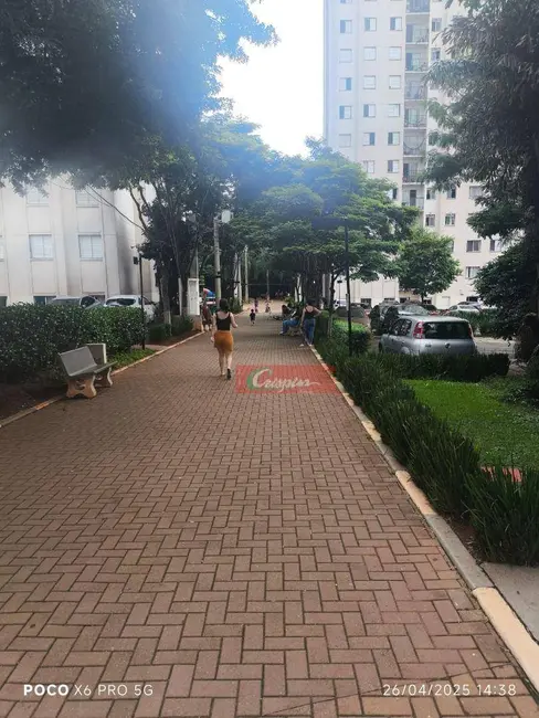 Apartamento com 2 quartos à venda, 43m2 em Cocaia, Guarulhos - SP - imagem 4 Foto 4 de Apartamento com 2 quartos à venda, 43m2 em Cocaia, Guarulhos - SP