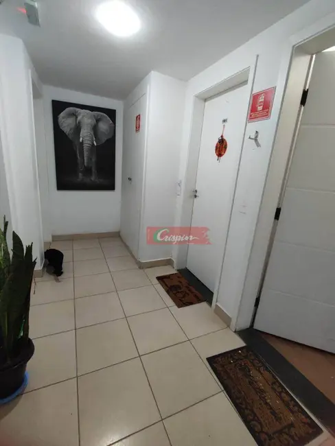 Foto 3 de Apartamento com 3 quartos à venda, 63m2 em Ponte Grande, Guarulhos - SP