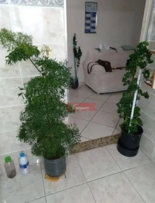 Foto 8 de Apartamento com 2 quartos à venda, 60m2 em Cocaia, Guarulhos - SP