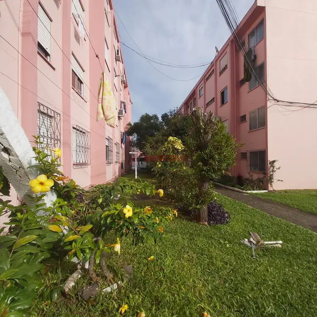 Foto 1 de Apartamento com 2 quartos à venda, 48m2 em Nossa Senhora Medianeira, Santa Maria - RS