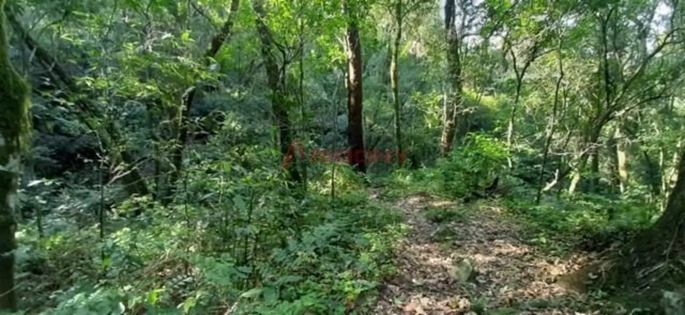 Foto 1 de Fazenda / Haras à venda, 50000m2 em Itaara - RS