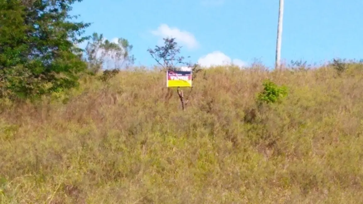 Foto 7 de Chácara com 3 quartos à venda, 20800m2 em Salto De Pirapora - SP