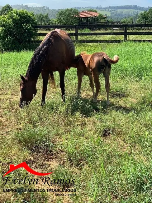 Foto 3 de Fazenda / Haras com 1 quarto à venda, 1000865m2 em Salto De Pirapora - SP