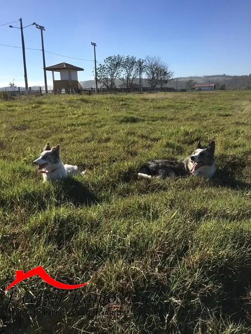 Foto 5 de Fazenda / Haras com 1 quarto à venda, 1000865m2 em Salto De Pirapora - SP