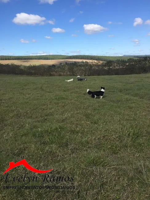 Foto 2 de Fazenda / Haras com 1 quarto à venda, 1000865m2 em Salto De Pirapora - SP