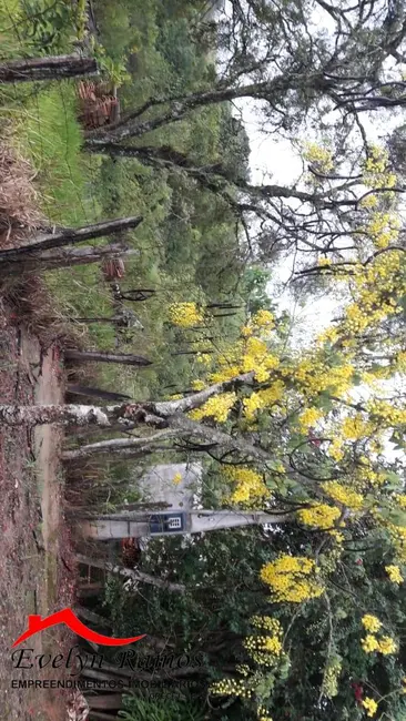 Foto 4 de Terreno / Lote à venda em Salto De Pirapora - SP