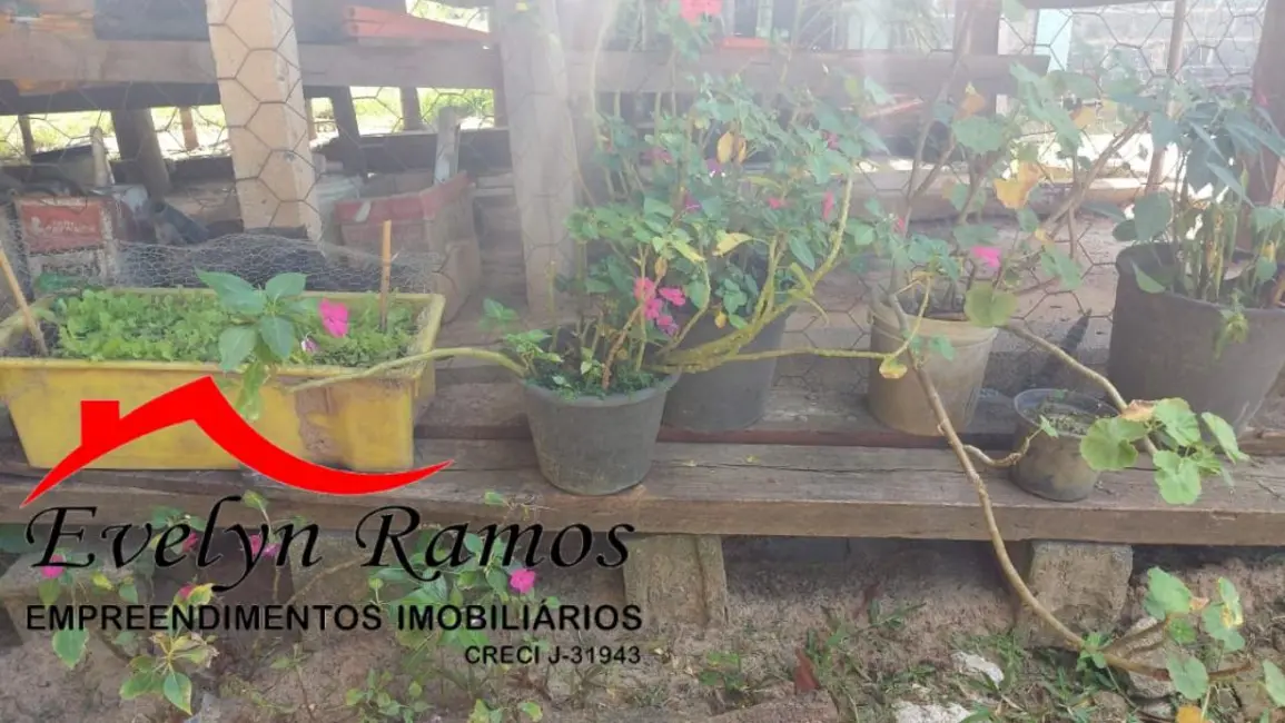 Foto 3 de Chácara com 4 quartos à venda, 4000m2 em Salto De Pirapora - SP