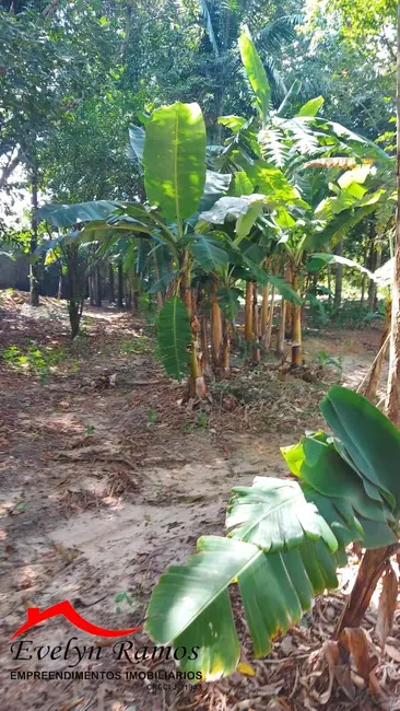 Foto 5 de Chácara com 4 quartos à venda, 4000m2 em Salto De Pirapora - SP