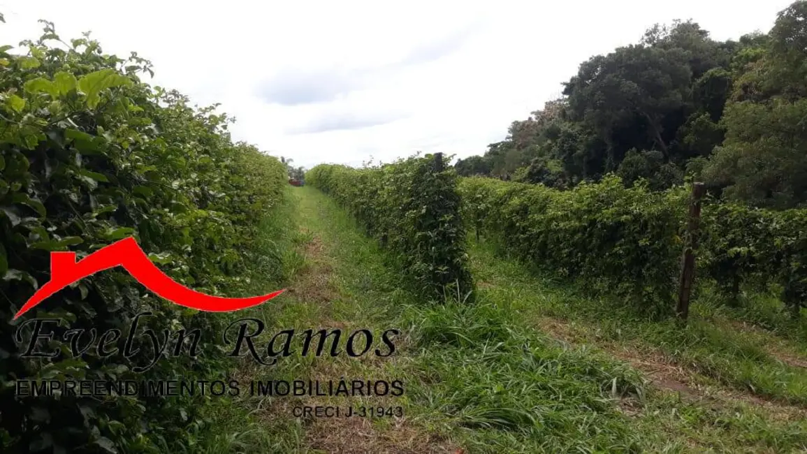 Chácara com 4 quartos à venda, 35000m2 em Pilar Do Sul - SP - imagem 6 Foto 6 de Chácara com 4 quartos à venda, 35000m2 em Pilar Do Sul - SP