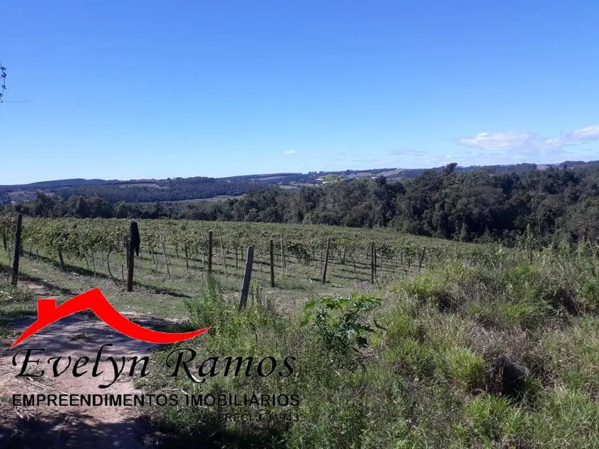 Chácara com 4 quartos à venda, 35000m2 em Pilar Do Sul - SP - imagem 9 Foto 9 de Chácara com 4 quartos à venda, 35000m2 em Pilar Do Sul - SP