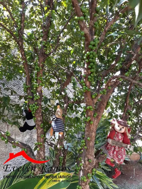 Foto 8 de Chácara com 6 quartos à venda, 1400m2 em Salto De Pirapora - SP