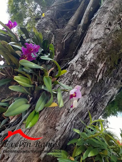 Foto 3 de Chácara com 6 quartos à venda, 1400m2 em Salto De Pirapora - SP