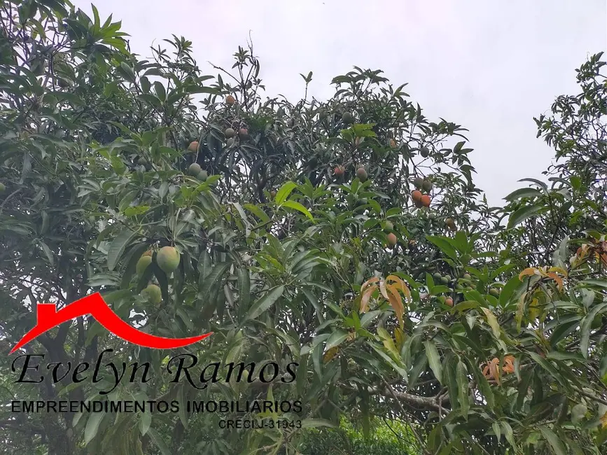 Foto 9 de Chácara com 2 quartos à venda, 4000m2 em Salto De Pirapora - SP