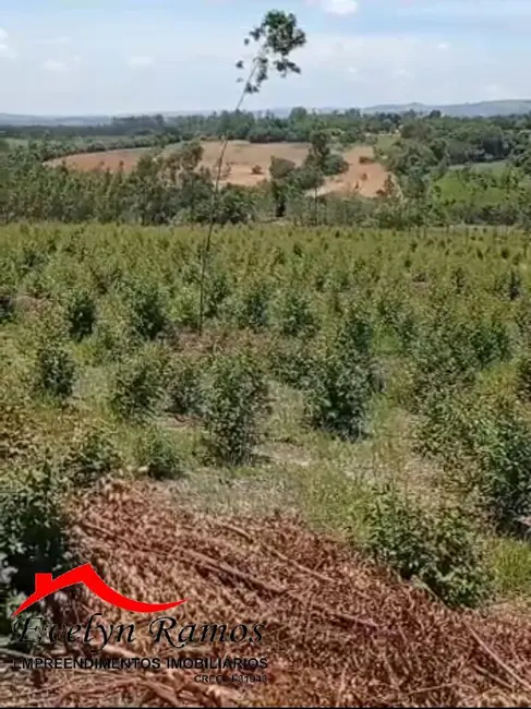 Foto 2 de Terreno / Lote à venda, 1000m2 em Pilar Do Sul - SP