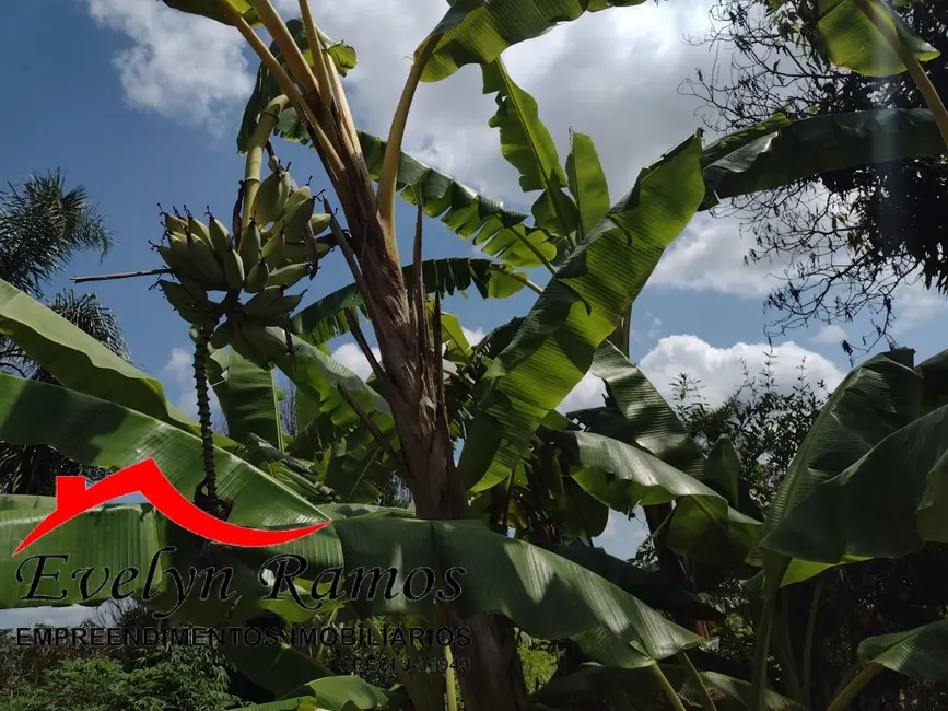 Foto 4 de Chácara com 2 quartos à venda, 1600m2 em Salto De Pirapora - SP