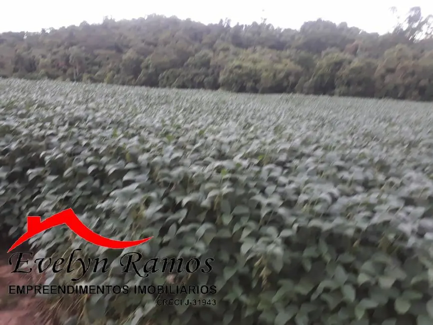 Foto 9 de Chácara com 5 quartos à venda em Pilar Do Sul - SP