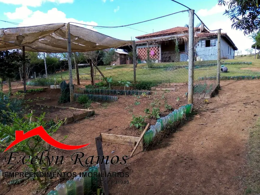 Chácara com 2 quartos à venda, 3650m2 em Sarapui - SP - imagem 6 Foto 6 de Chácara com 2 quartos à venda, 3650m2 em Sarapui - SP