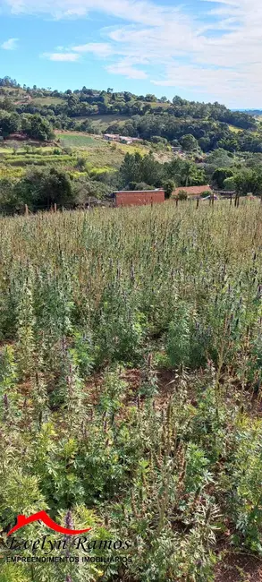 Foto 4 de Terreno / Lote à venda, 7341m2 em Piedade - SP