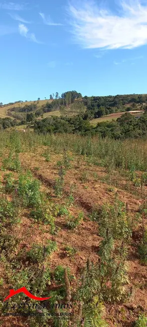 Foto 2 de Terreno / Lote à venda, 7341m2 em Piedade - SP