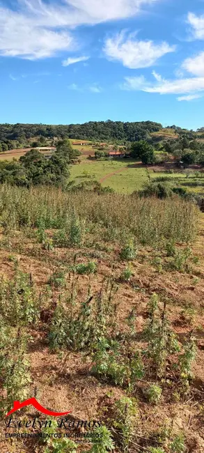Foto 3 de Terreno / Lote à venda, 7341m2 em Piedade - SP