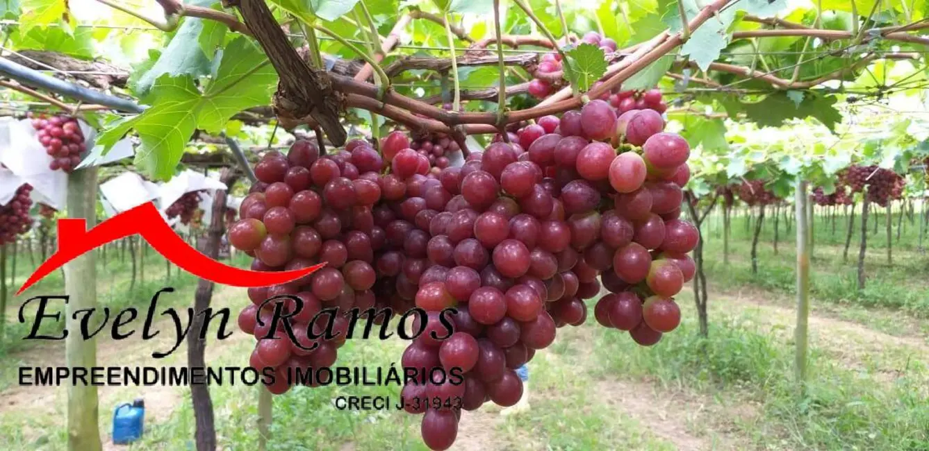 Foto 8 de Chácara com 3 quartos à venda em Salto De Pirapora - SP