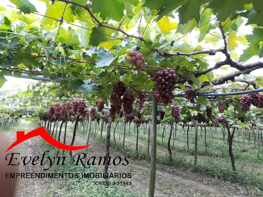 Foto 4 de Chácara com 3 quartos à venda em Salto De Pirapora - SP