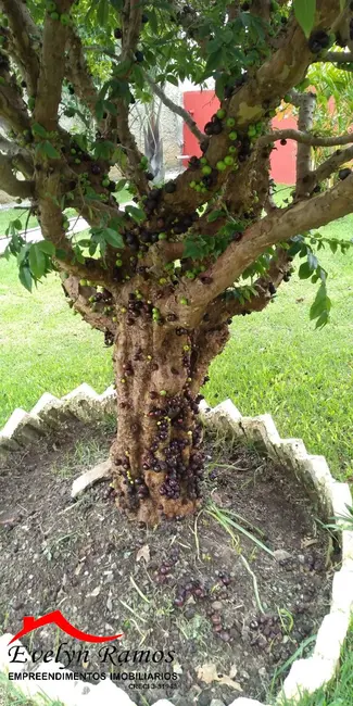Foto 8 de Chácara com 4 quartos à venda, 1800m2 em Salto De Pirapora - SP