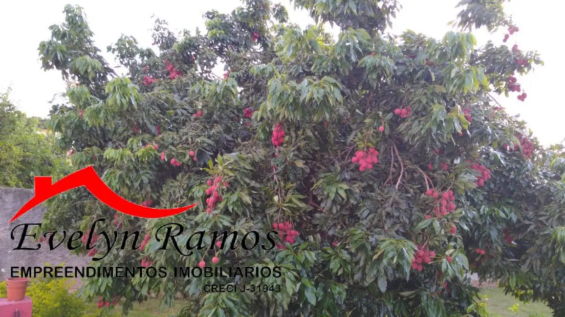 Foto 4 de Chácara com 4 quartos à venda, 1800m2 em Salto De Pirapora - SP