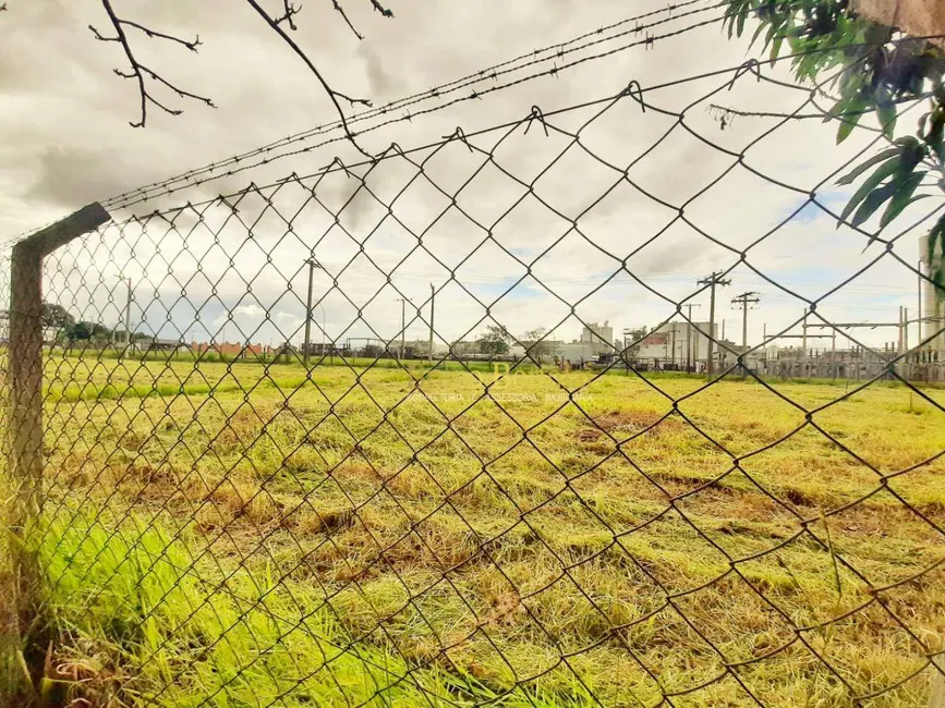 Foto 2 de Terreno / Lote à venda, 444m2 em Jardim Floridiana, Rio Claro - SP