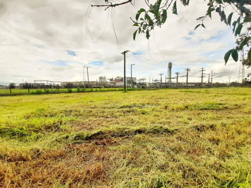 Foto 2 de Terreno / Lote à venda, 1273m2 em Jardim Floridiana, Rio Claro - SP