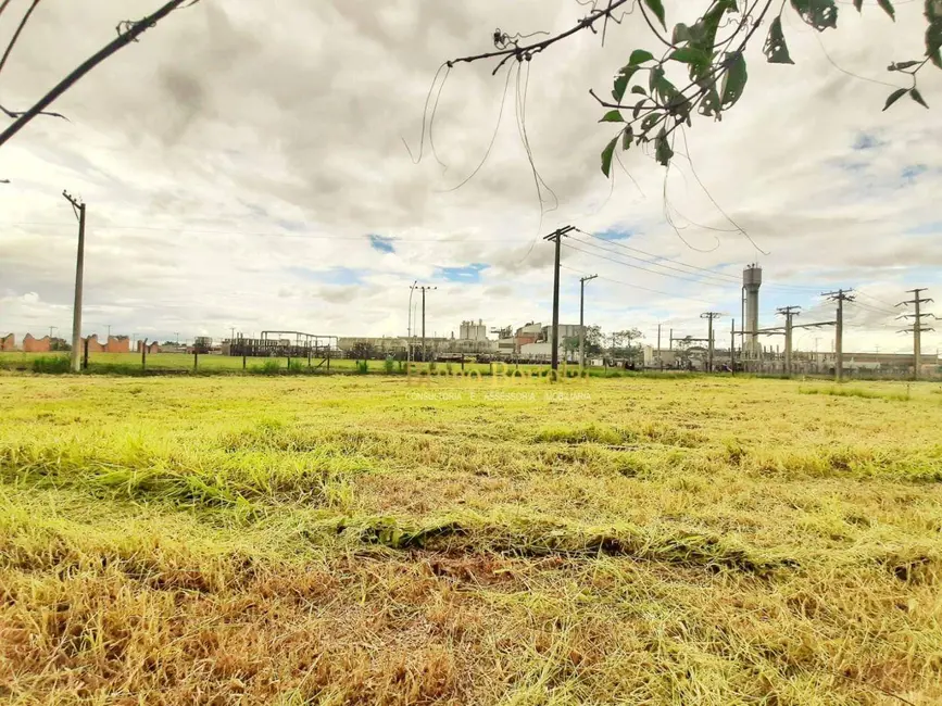 Foto 3 de Terreno / Lote à venda, 1273m2 em Jardim Floridiana, Rio Claro - SP