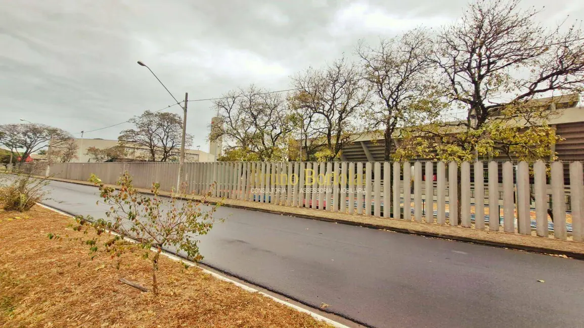 Terreno / Lote à venda, 450m2 em Jardim Floridiana, Rio Claro - SP - imagem 4 Foto 4 de Terreno / Lote à venda, 450m2 em Jardim Floridiana, Rio Claro - SP