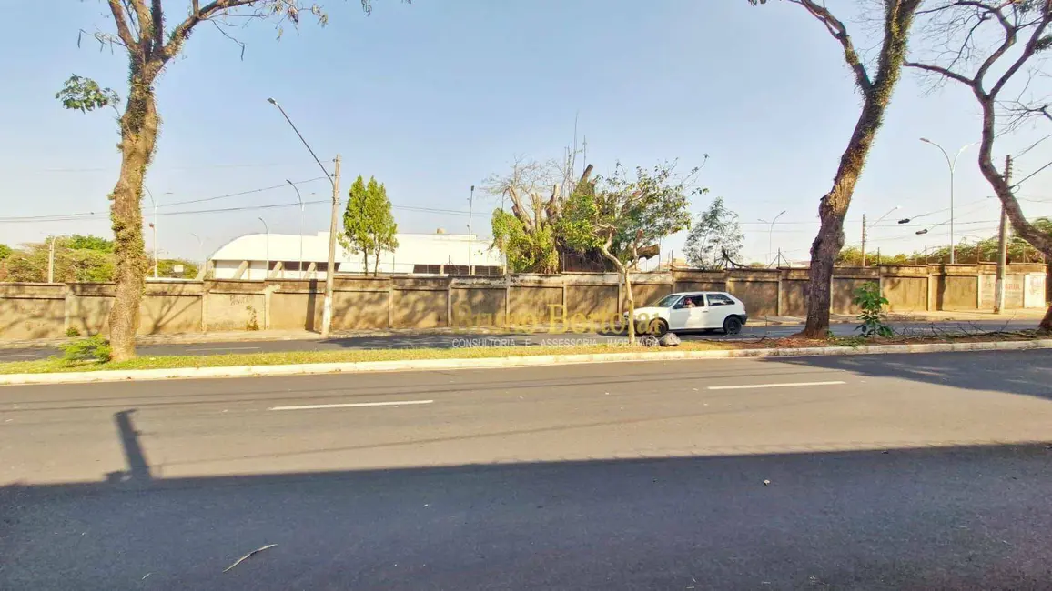 Foto 8 de Casa com 1 quarto à venda e para alugar, 300m2 em Vila Operária, Rio Claro - SP