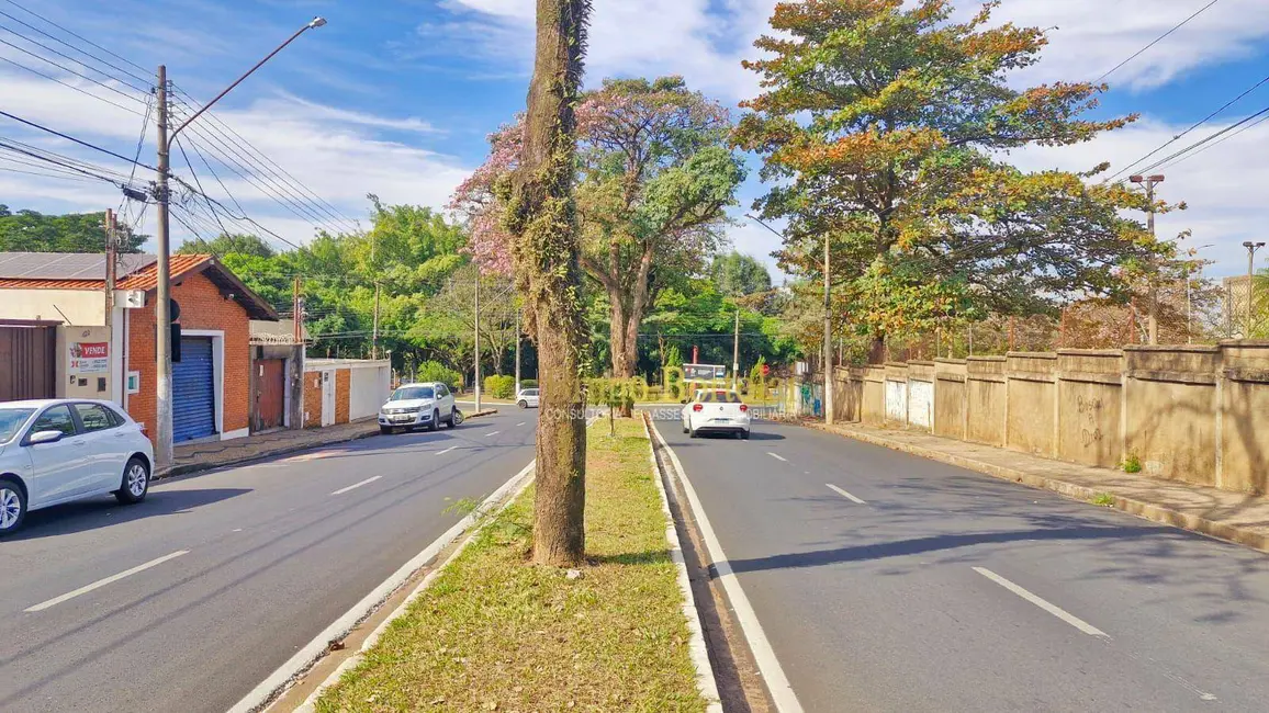 Foto 3 de Casa com 1 quarto à venda e para alugar, 300m2 em Vila Operária, Rio Claro - SP