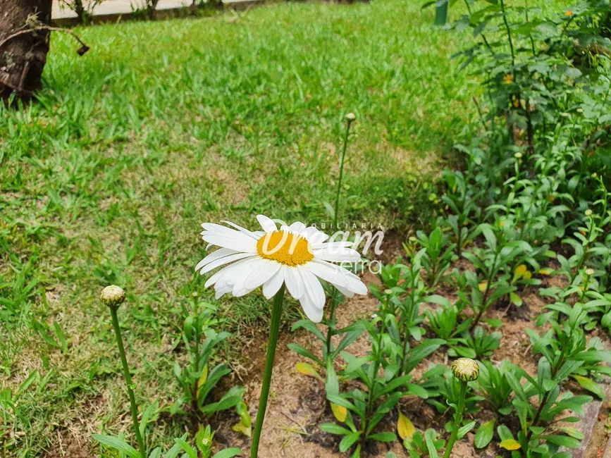 Casa de Condomínio com 4 quartos à venda, 5481m2 em Alto, Teresopolis - RJ - imagem 5 Foto 5 de Casa de Condomínio com 4 quartos à venda, 5481m2 em Alto, Teresopolis - RJ